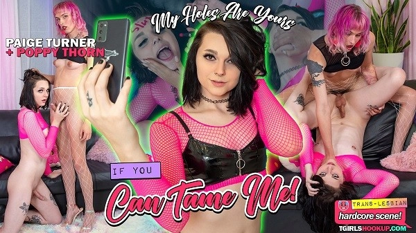 [TgirlsHookup] Paige Turner, Poppy Thorn - My Holes Are Yours If You Can Tame Me